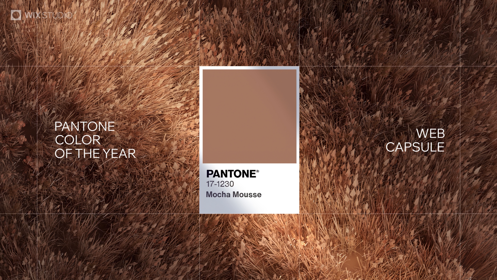 Wix x Pantone